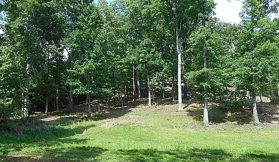 1st image of LOT-16A Ironwood Cv