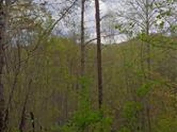 3 Folklore Dr, Whittier, NC 28789