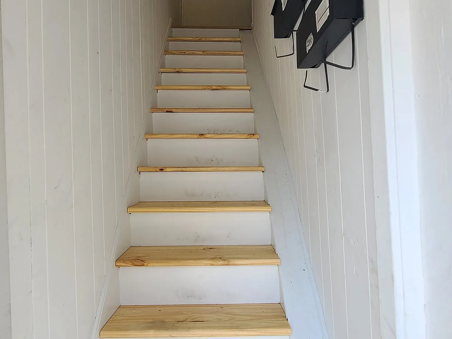 1 bed, 550 sqft, $1,200 — Photo 3