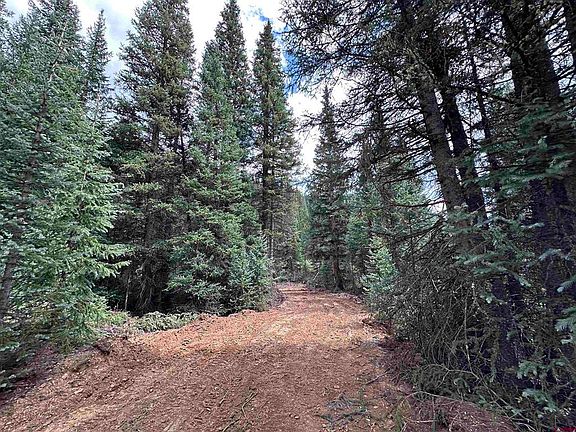 4th image of Lot 6 Overland Estates, CR 110