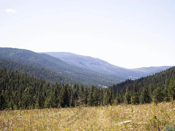 Luna Canyon Mora County, Chacon, NM 87713