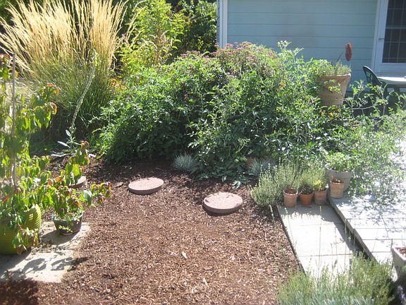 Very large yard