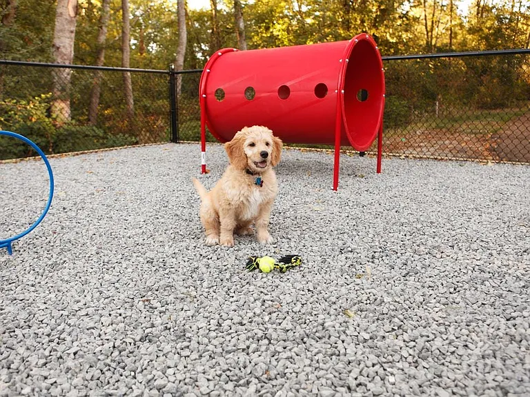 WAG Pet Park