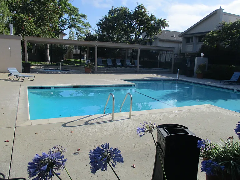 Community Pool/Spa
