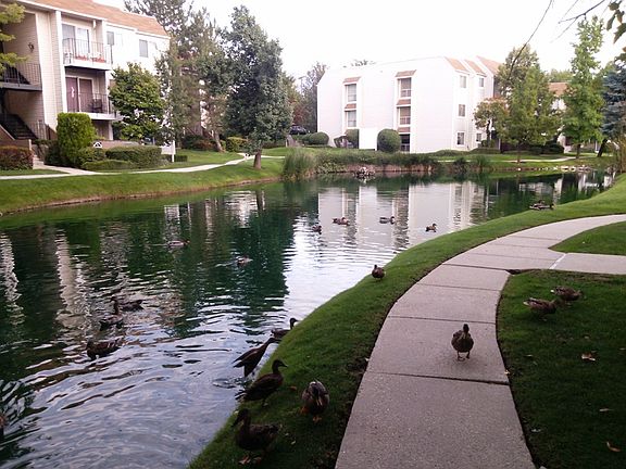 Beautiful Grounds