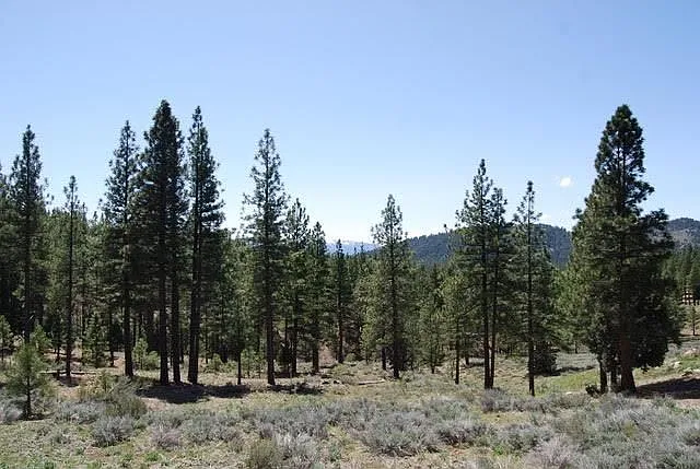 1891 Grizzly Ranch Rd photo 1