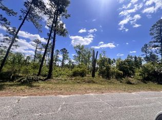 Banyan St Lot 400, Eustis, FL 32736