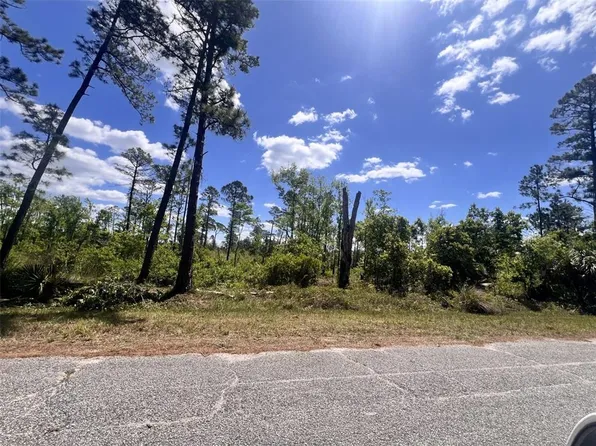 Banyan St Lot 400, Eustis, FL 32736