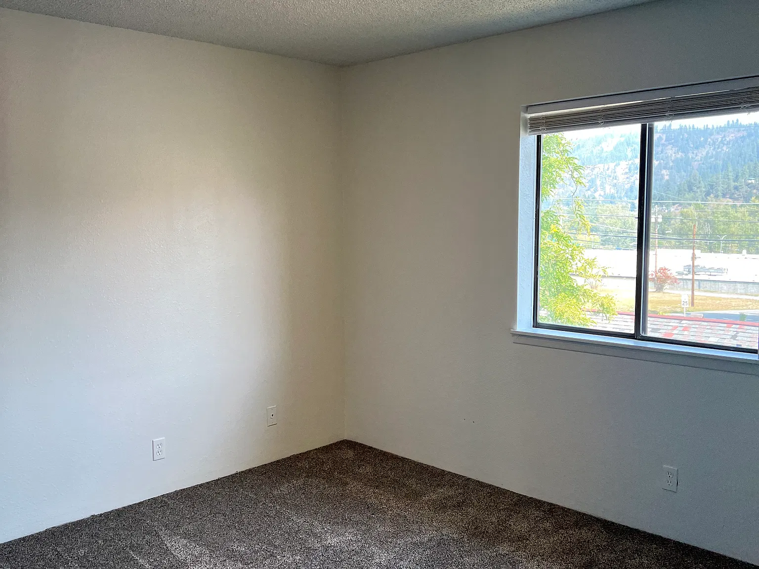2 bed, $1,200 — Photo 4