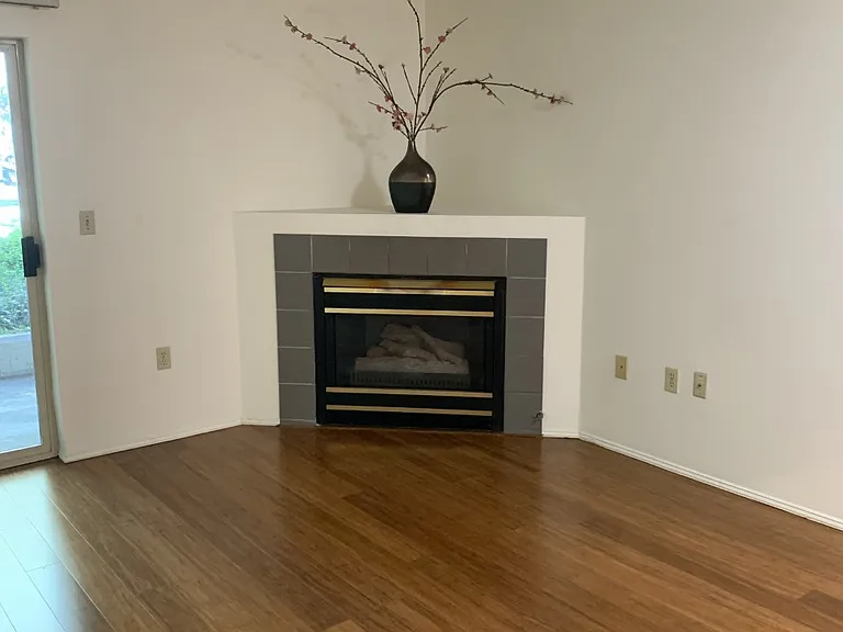 03 Unit gas fireplace
