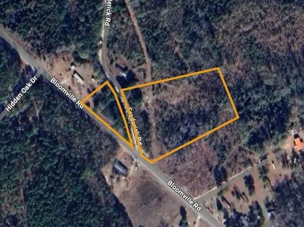 1050 Frederick Rd, Manning, SC 29102