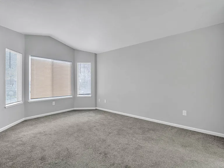 244 Delta Leaf Way — Photo 8