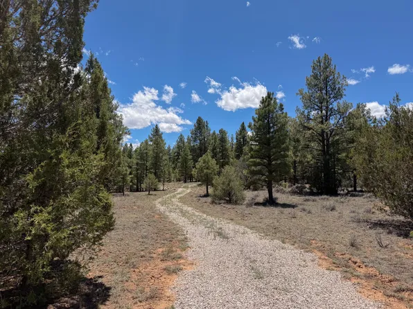LOT 7&8 Cottonwood Loop, Ramah, NM 87321