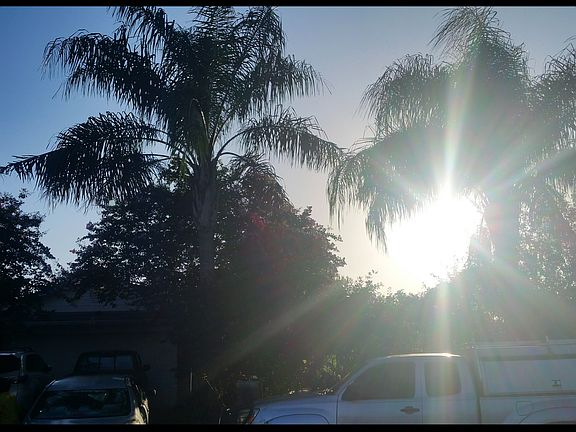 4th image of 10138 Lasaber Ct