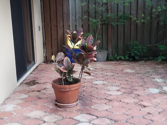 4th image of 1520 15th Ln #B