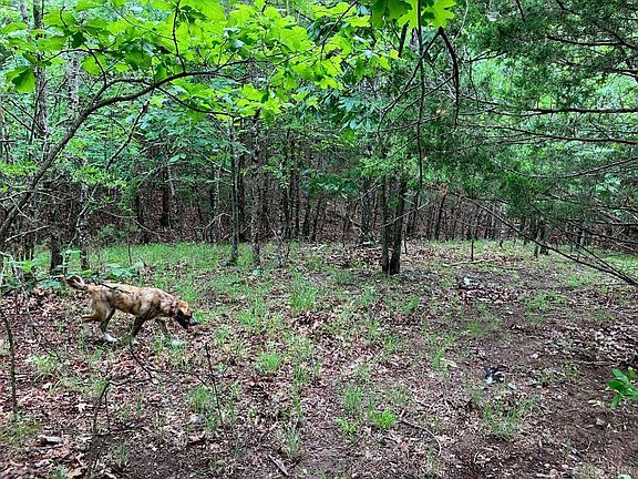 4th image of TRACT 4 Thompson Creek Ln
