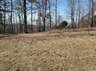 289 Chateau Pointe Loop, Mountain View, AR 72560