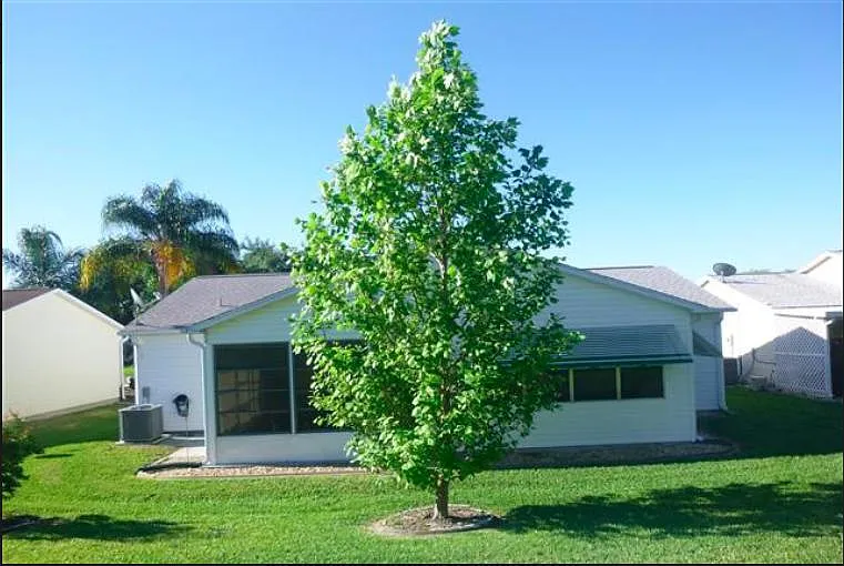 315 San Marino Dr — Photo 12
