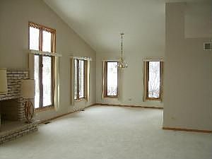 4th image of 18132 Pheasant Lake Dr