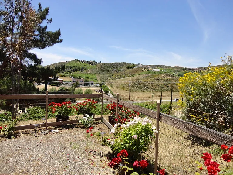 37850 De Portola Rd — Photo 53