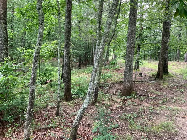 0 Mouse Creek Trl, Murphy, NC 28906