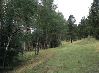 1097 Southpark Rd, Florissant, CO 80816