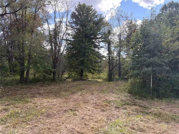 Scribner Rd, Pierpont, OH 44082