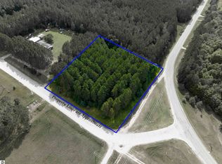 0 Dundas Rd S, Alden, MI 49612