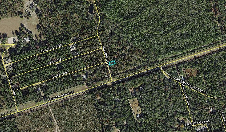 2nd image of 4 Fig Tree Ln