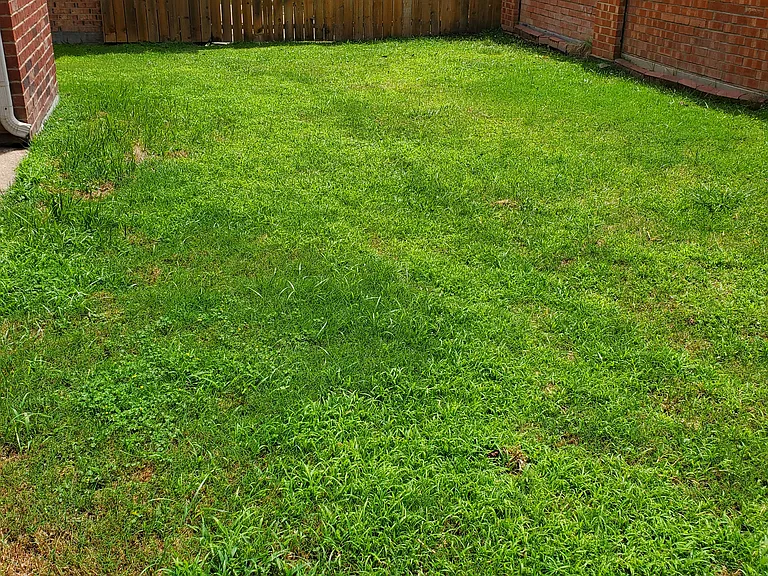 532 Silver Maple Dr — Photo 23