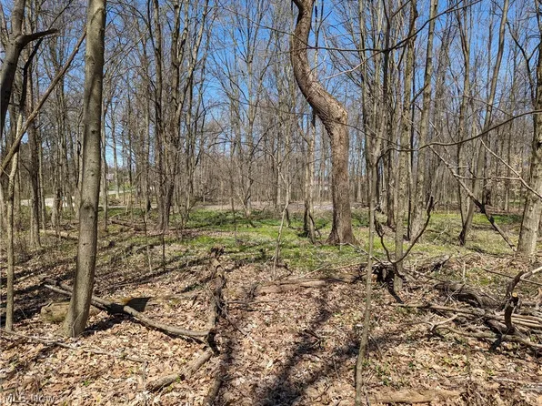 Vl County Rd #681, Sullivan, OH 44880