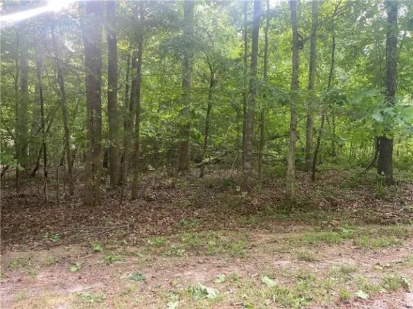 318 Blue Ridge Ct, Westminster, SC 29693