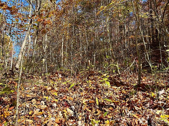 3rd image of 0 Owle View Rd #30