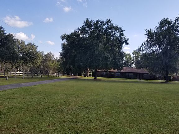 Large Oaks & Magnolia tree