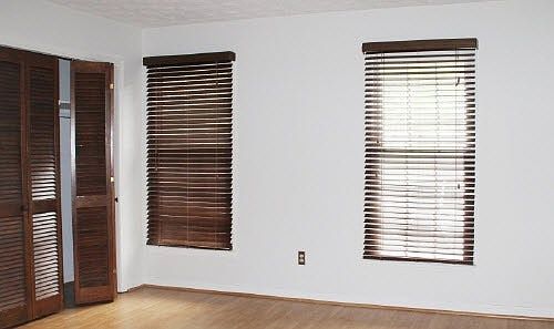 Downstairs Den or Bedroom