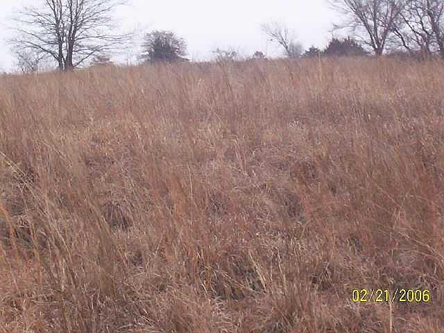 2nd image of 170th St #142-lot 999