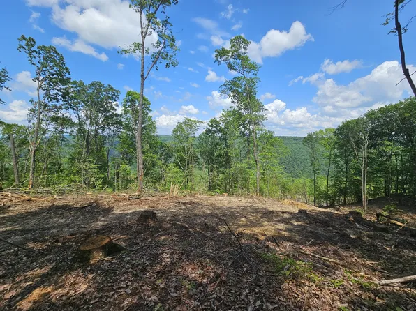 11 Higgenbotham Tpke, Altamont, TN 37301