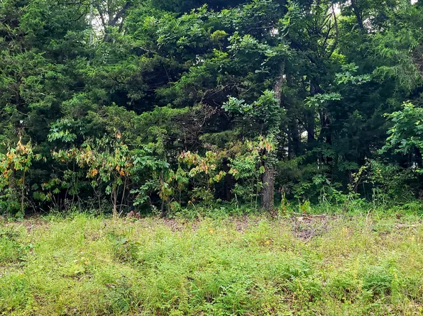 Lot 2 Tate Rd, Ridgedale, MO 65739