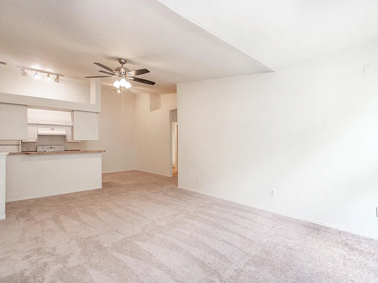 36138 Lake Chase Blvd #294 — Photo 7