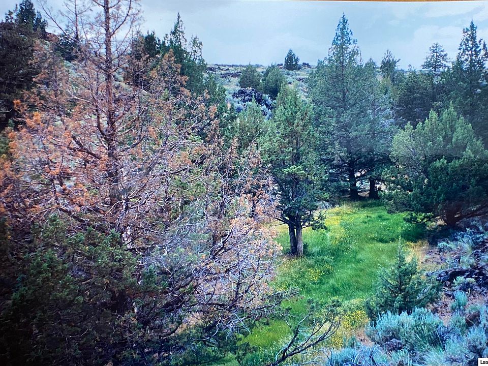 1st image of 501-450 Highway 395 Hwy