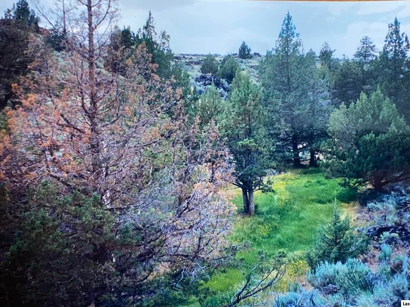 501-450 Highway 395 Hwy, Litchfield, CA 96117