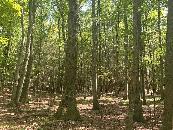 3rd image of Lot 1 West Chalybes Road