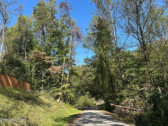 5th image of LOT 12 Hickory Dr