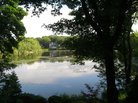 On Winter Pond: View fr Living/Dining Room
