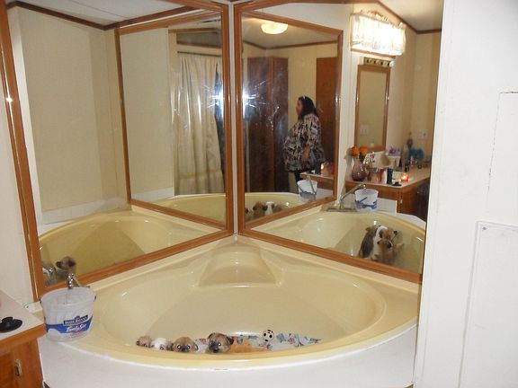 Master bath garden tub 