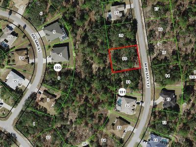 13 Nemesia Court E, Homosassa, FL, 34446