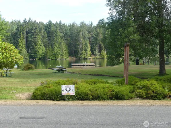 10107 Narrows Drive, Anderson Island, WA 98303