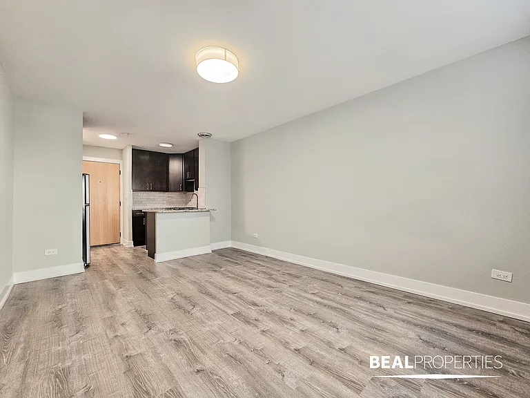 445 W Barry — Photo 16