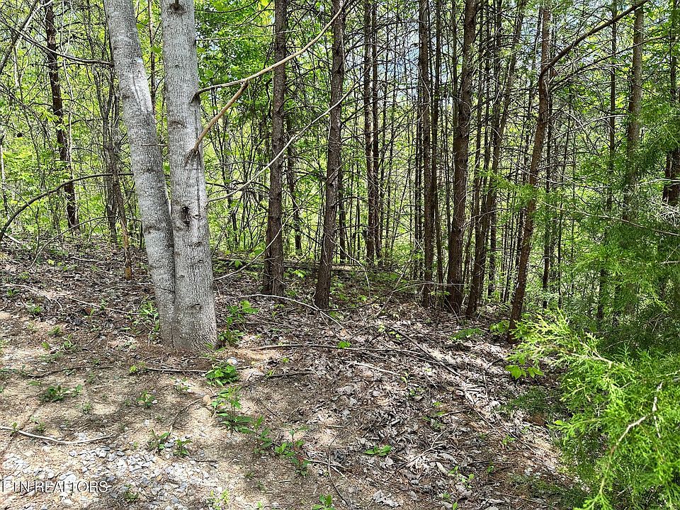 1st image of 1430 Mountain Dreams Way