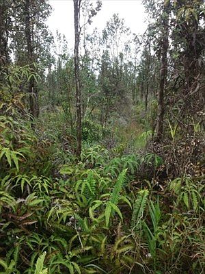1st image of Road 10 Poouli Lot 5678